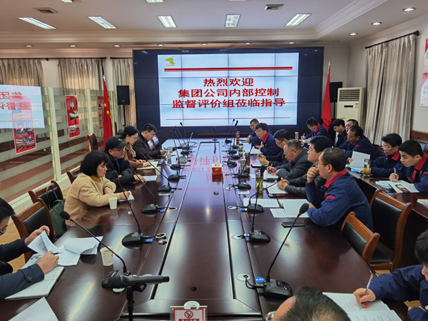 集團公司到公司開(kāi)展內控自評檢查工作