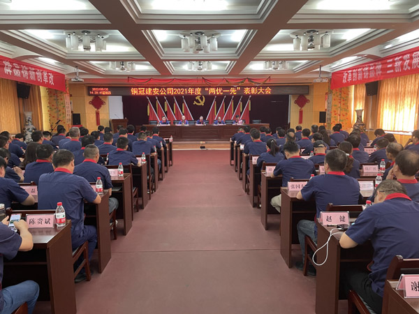 公司召開(kāi)“兩優(yōu)一先”表彰大會(huì )