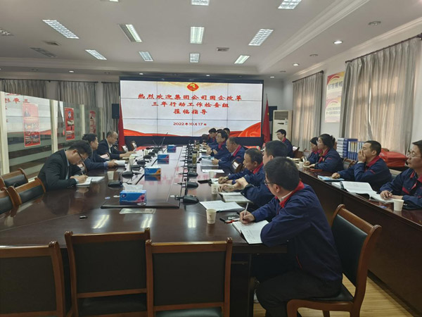 集團公司到公司檢查“國企改革三年行動(dòng)” 集團公司到公司檢查“國企改革三年行動(dòng)”